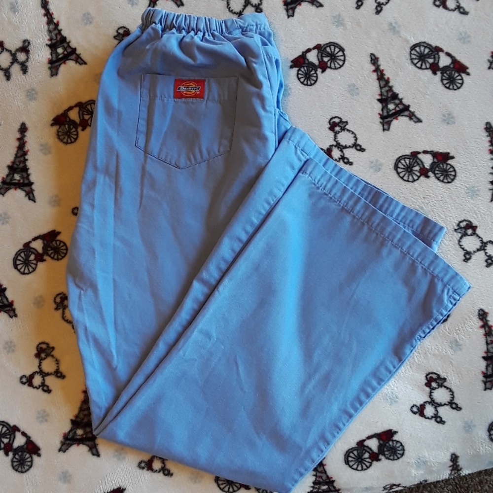 Dickies light blue pants size xs